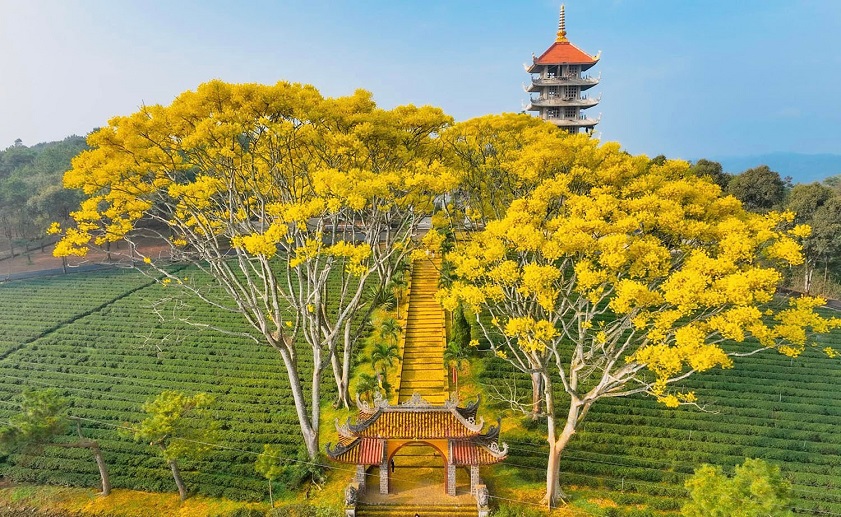 Bảo Lộc Lâm Đồng có gì chơi - Hình 3