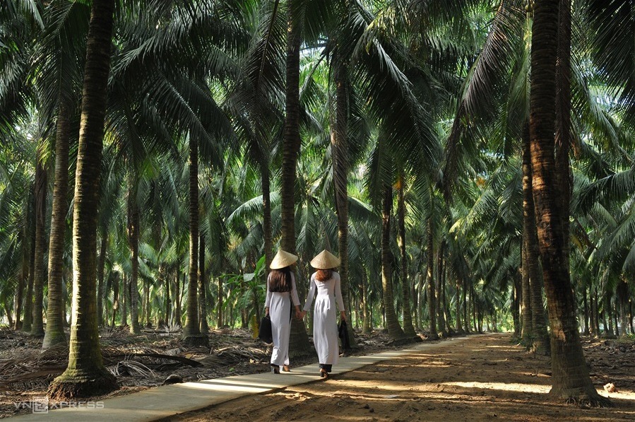 Bến Tre có gì đặc biệt - Hình 4