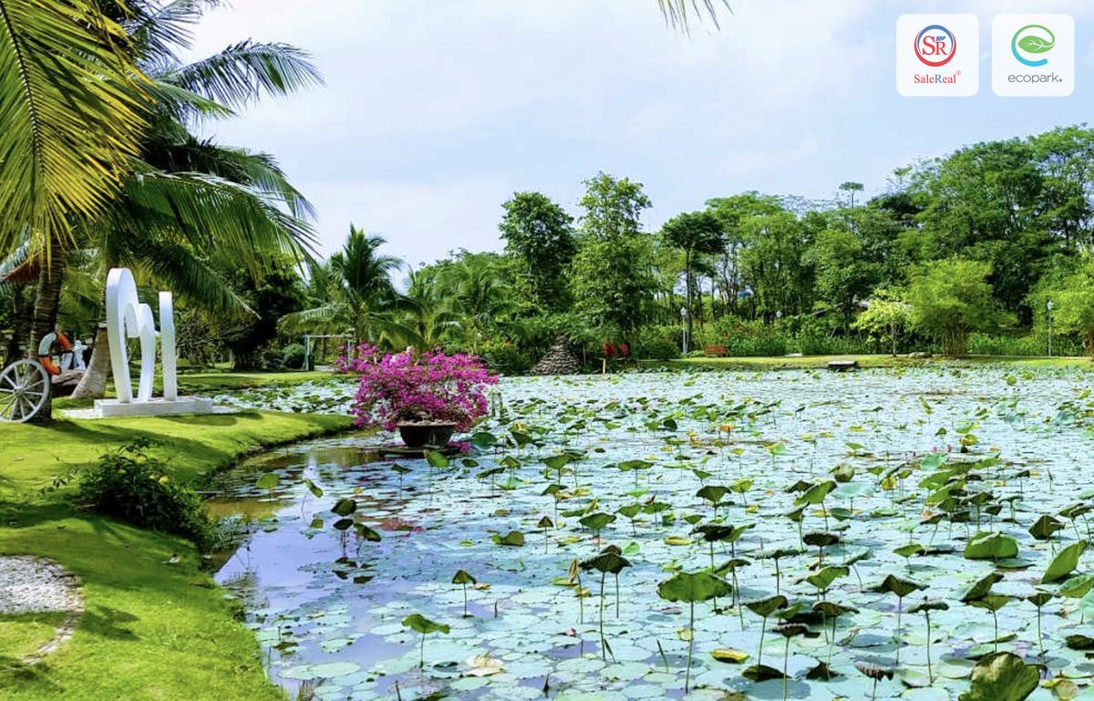 Ecopark Hưng Yên có gì chơi - Hình 4