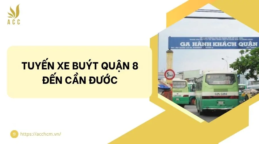 bến xe cần đước - Hình 4