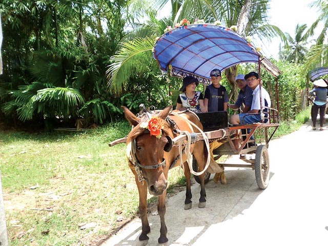bến xe cồn phụng - Hình 4