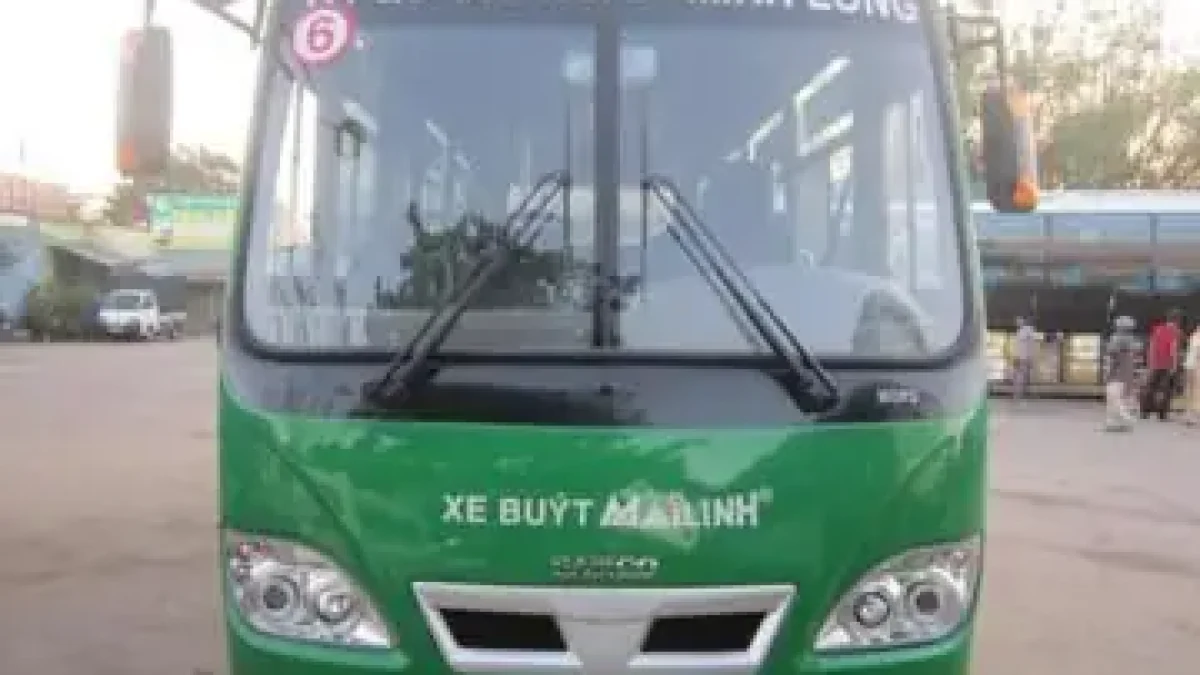 bến xe trà bồng - Hình 4