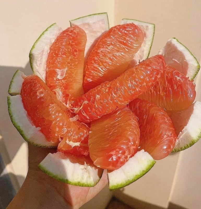 bưởi da xanh Bến Tre - Hình 5