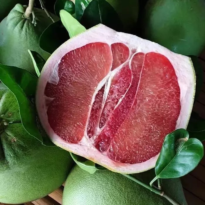 bưởi da xanh Bến Tre