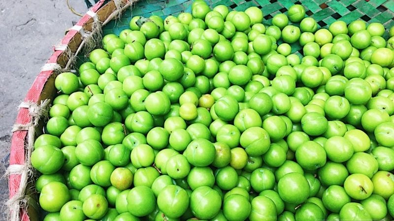 các loại mận ở miền Bắc - Hình 4