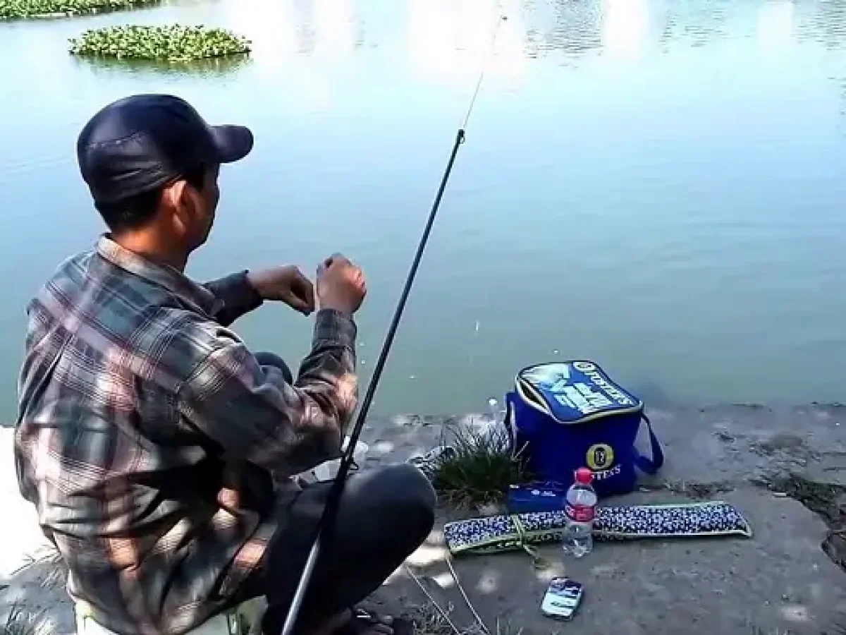 chợ Câu Cá ở Đà Nẵng - Hình 4
