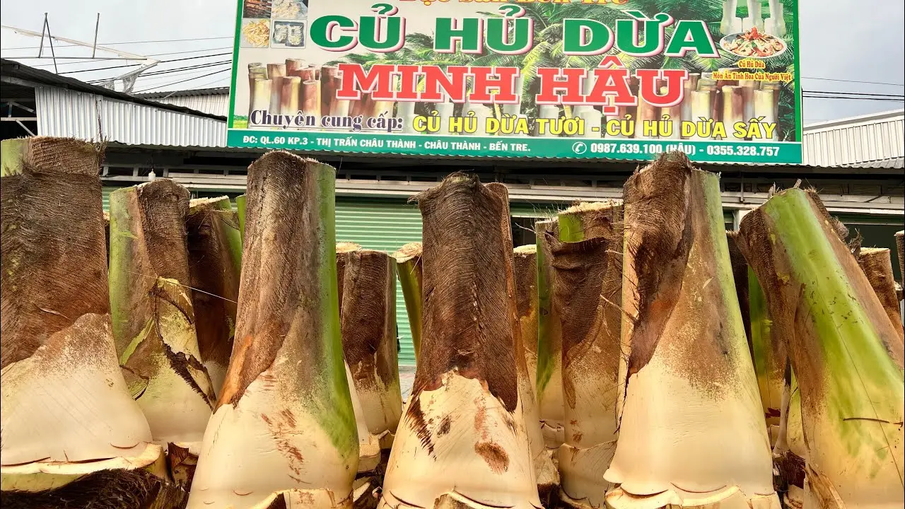 củ hũ dừa Bến Tre - Hình 1