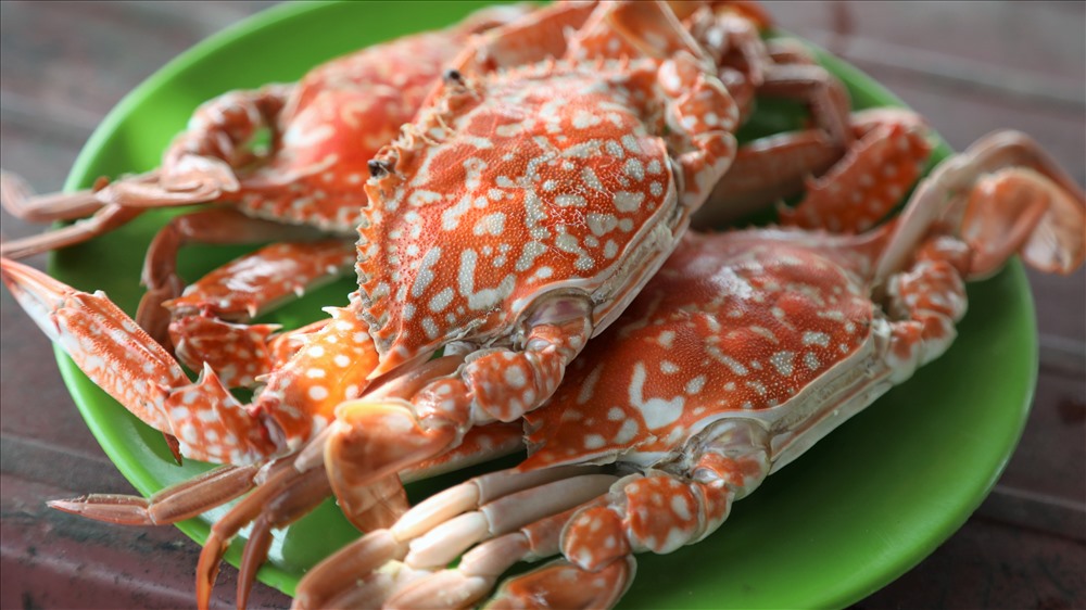cua biển Bình Đại - Hình 2