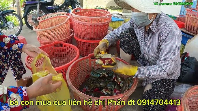 cua biển Bình Đại - Hình 4