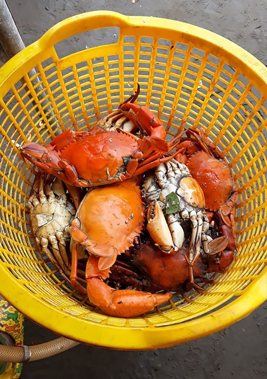 cua biển Thạnh Phú - Hình 3