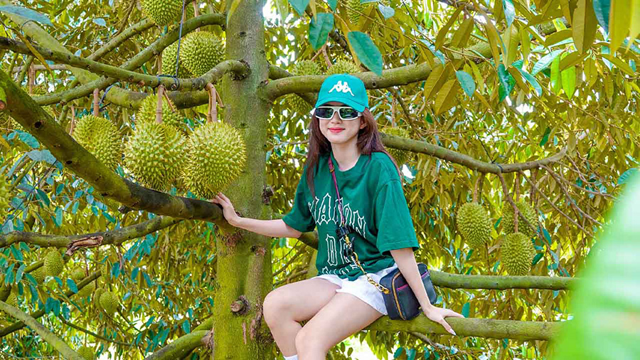 địa điểm sống ảo Bến Tre - Hình 5