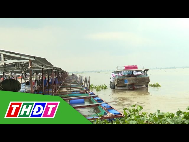 du lịch An Hiệp - Hình 4