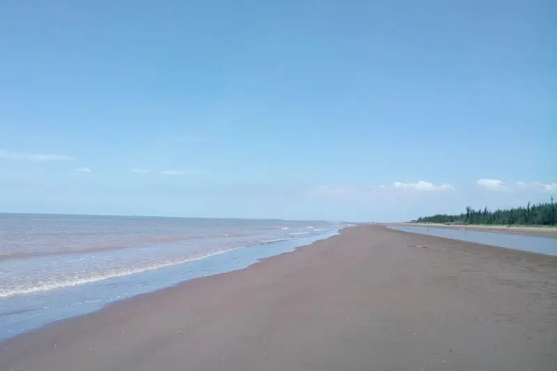 du lịch Bãi biển Cồn Bửng - Hình 4