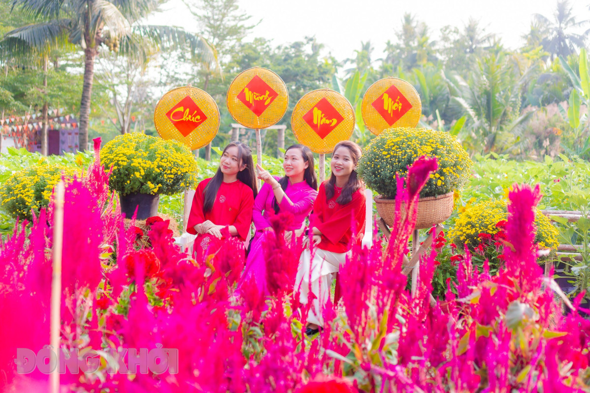 du lịch Bến Tre Tết - Hình 2