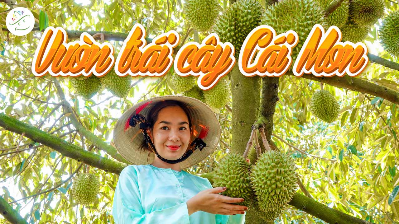 du lịch Cái Mơn - Hình 3