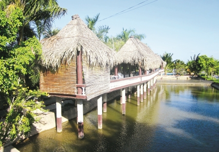 du lịch Cầu Hàm Luông - Hình 3