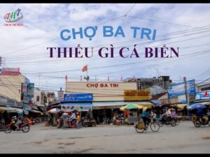du lịch Chợ Ba Tri