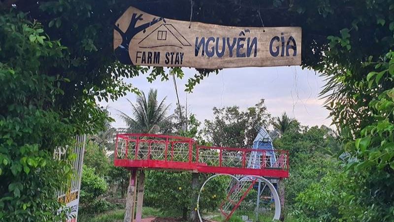 du lịch Chợ Lách - Hình 3