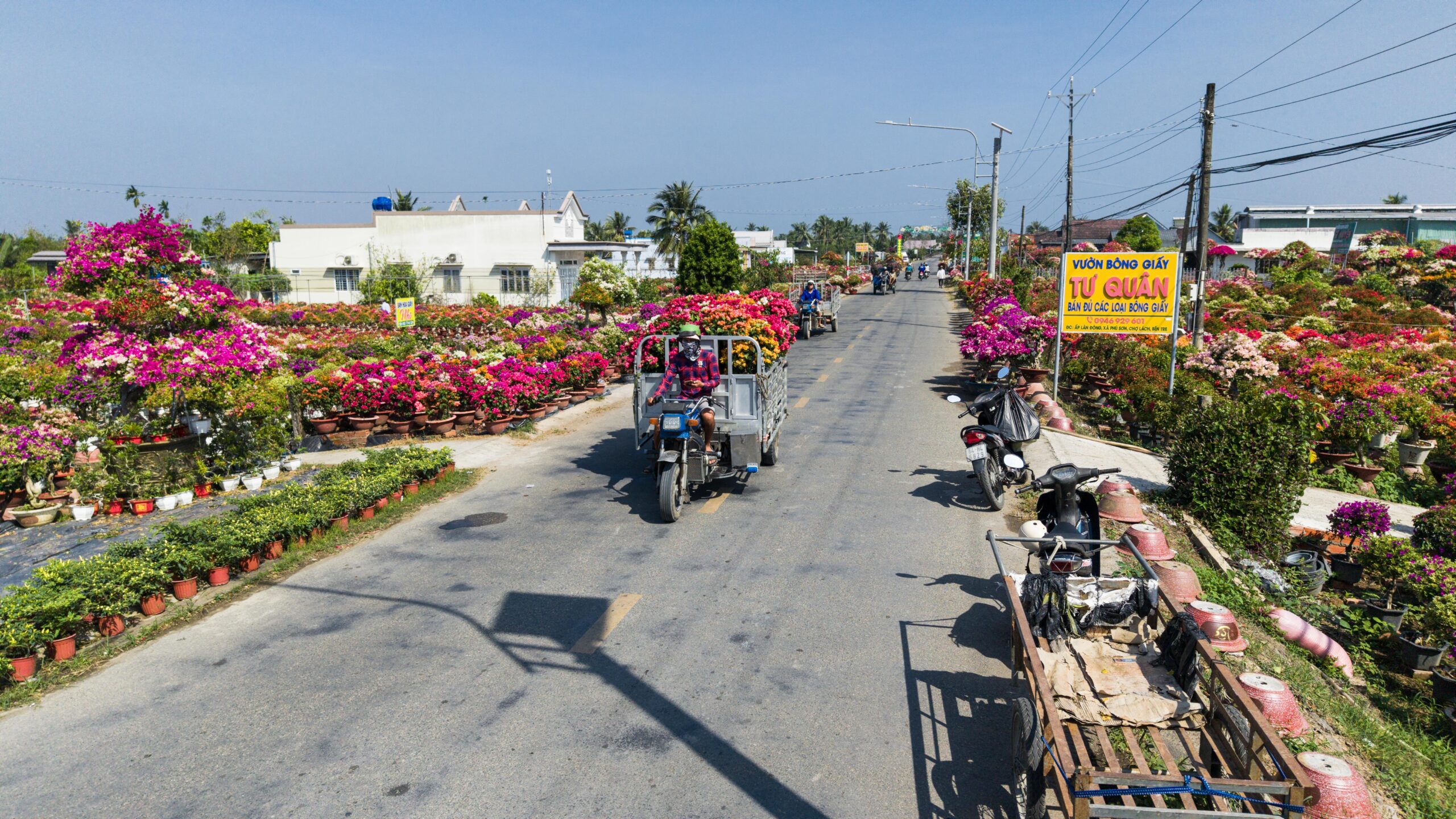 du lịch Chợ Lách mùa hoa - Hình 4