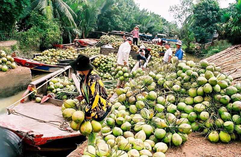 du lịch Chợ Mỏ Cày - Hình 5