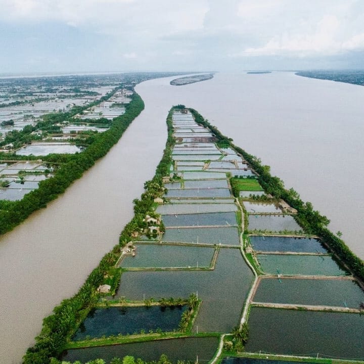 du lịch Cồn Chim Bến Tre - Hình 3