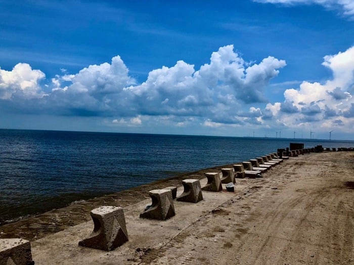 du lịch Cồn Nhàn - Hình 4