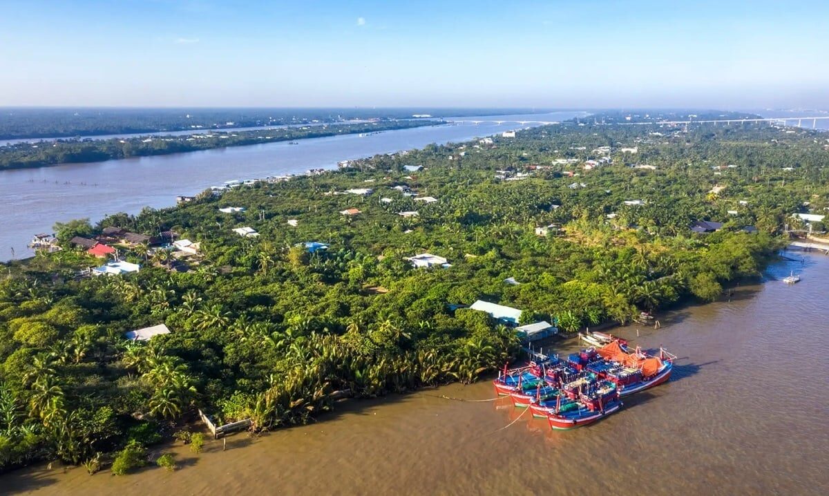 du lịch Cồn Phú Bình - Hình 3
