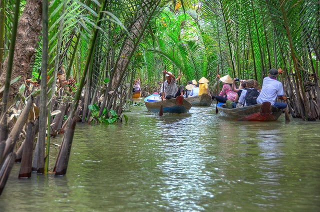 du lịch Cồn Phụng - Hình 2