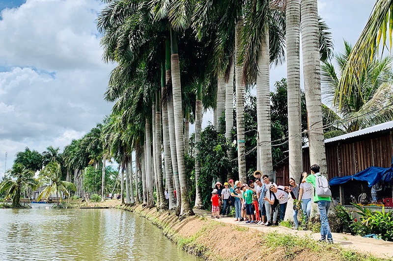 du lịch Cồn Trong - Hình 3