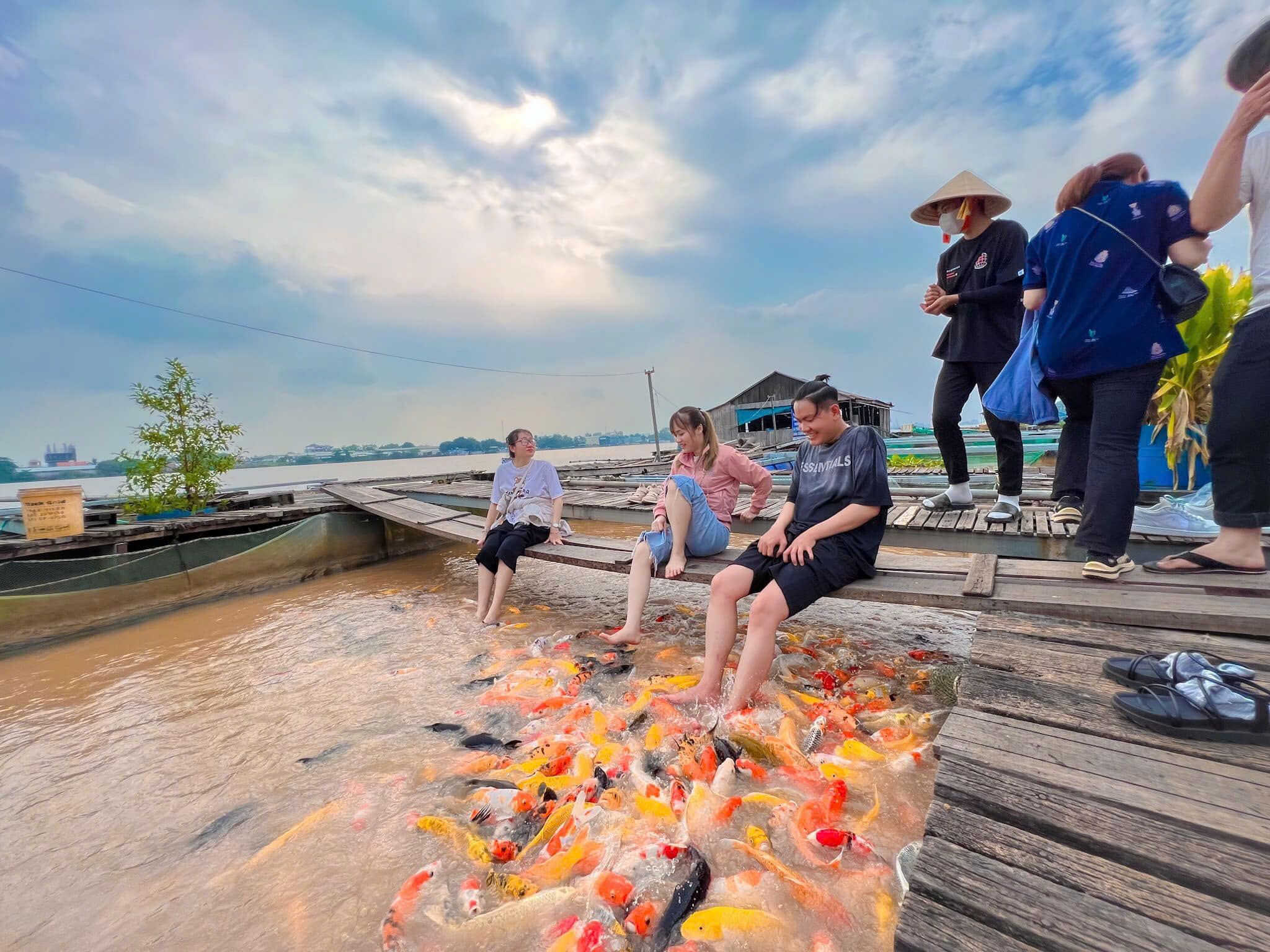 du lịch Cồn Trong - Hình 5
