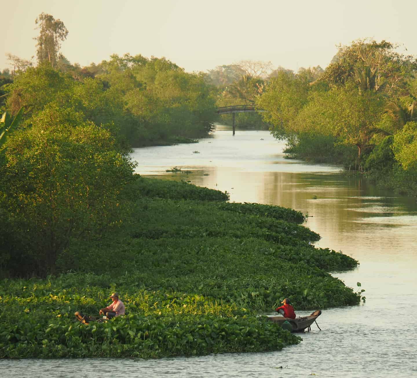 du lịch Cù lao An Hóa - Hình 4