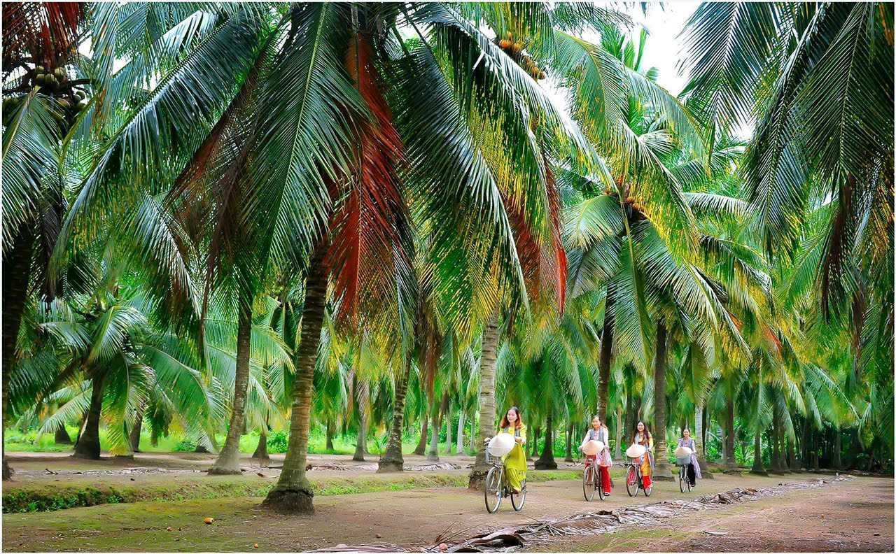 du lịch Cù lao Minh - Hình 4