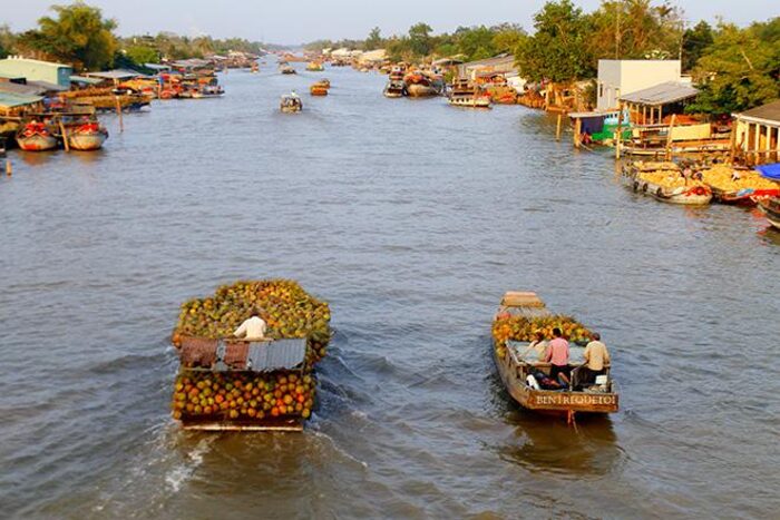 du lịch Cù lao Minh