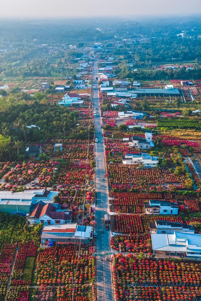 du lịch Làng hoa Cái Mơn - Hình 2