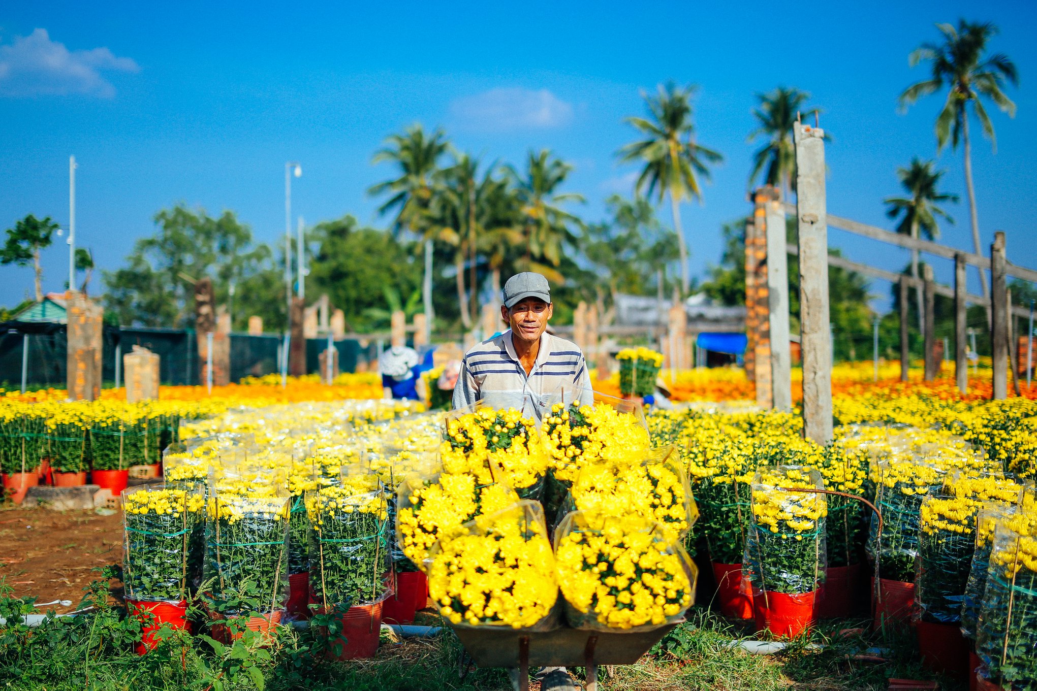 du lịch Làng hoa Cái Mơn - Hình 3