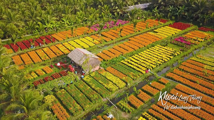 du lịch Làng hoa Cái Mơn - Hình 5