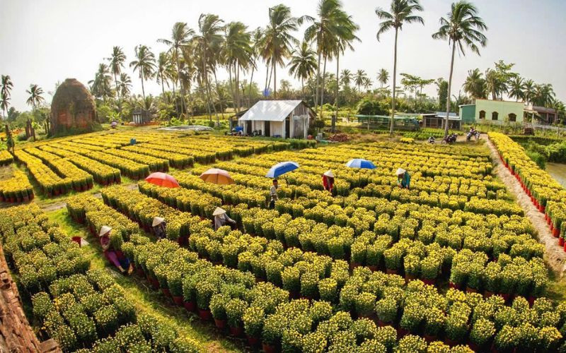 du lịch Làng hoa Chợ Lách - Hình 2