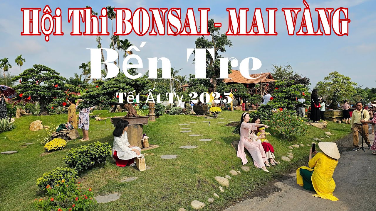 du lịch Làng mai vàng Chợ Lách - Hình 3