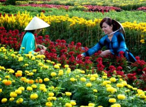 du lịch Làng nghề Chợ Lách