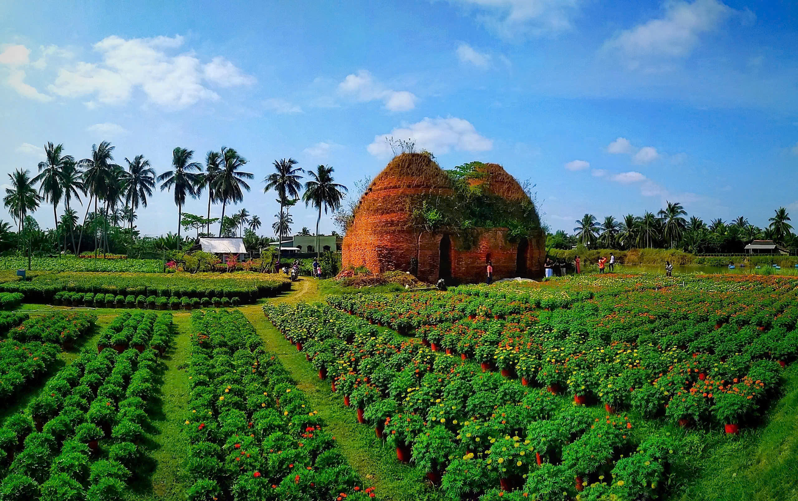 du lịch Làng nghề Chợ Lách - Hình 4