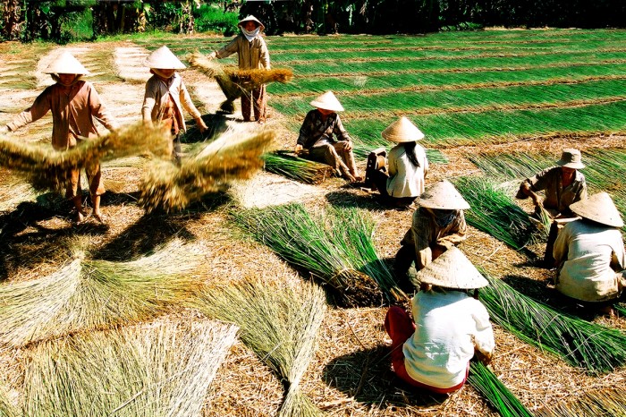 du lịch Làng nghề Nhơn Thạnh - Hình 2