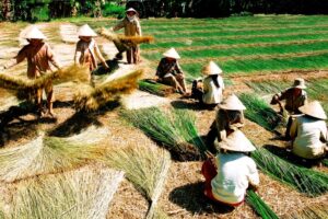 du lịch Làng nghề dệt chiếu Nhơn Thạnh
