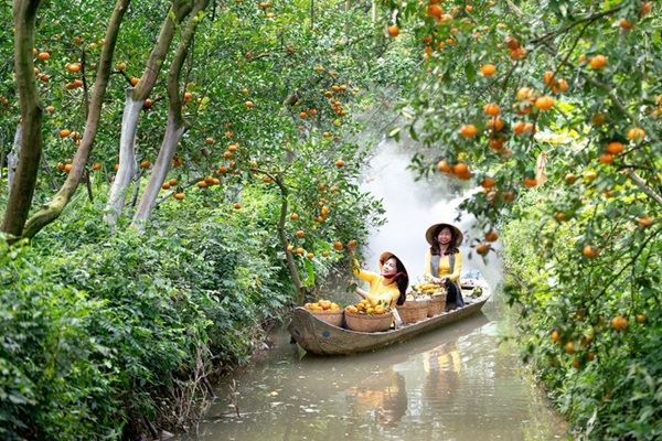 du lịch Miệt vườn Bình Đại - Hình 5