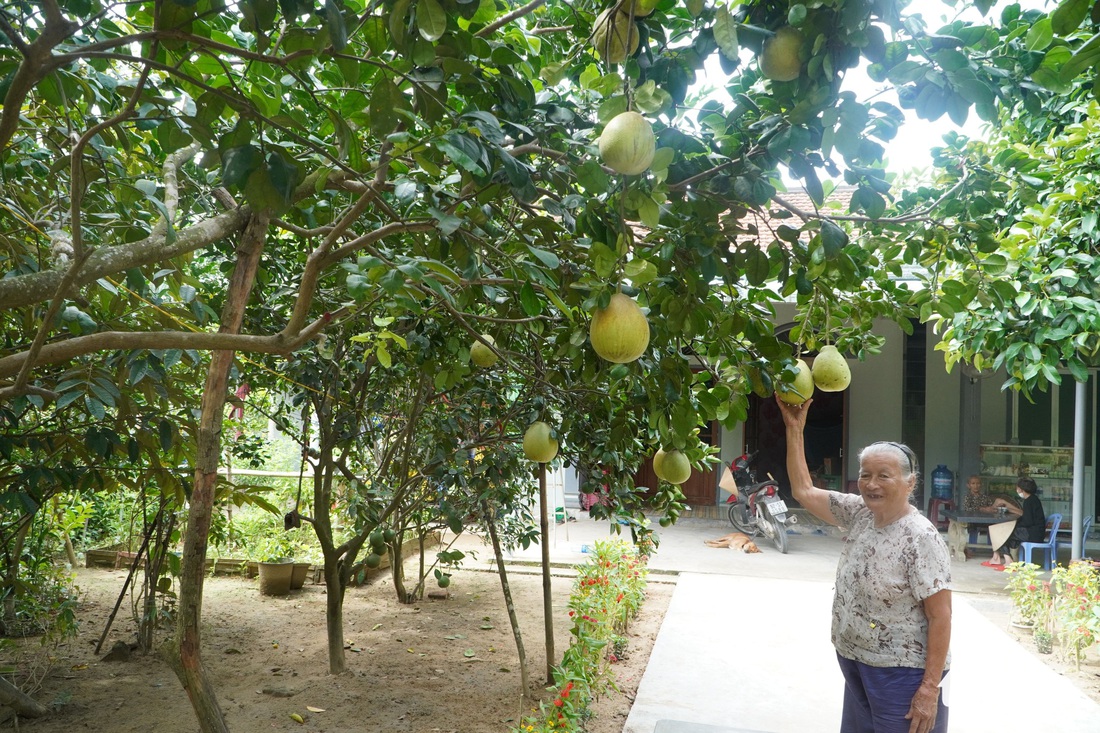 du lịch Miệt vườn Bình Đại - Hình 1