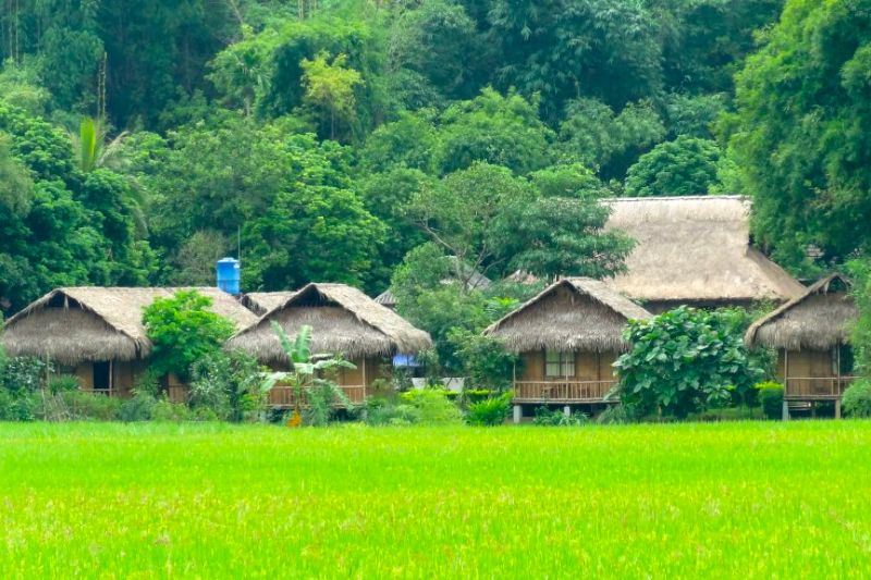du lịch Miệt vườn Châu Thành Bến Tre - Hình 5