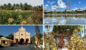du lịch Mỏ Cày Bắc