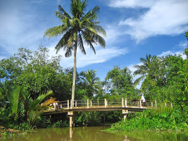 du lịch Mỏ Cày Nam - Hình 3