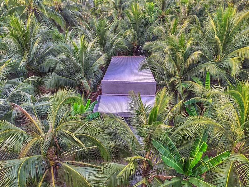 du lịch Rừng dừa Bến Tre - Hình 3