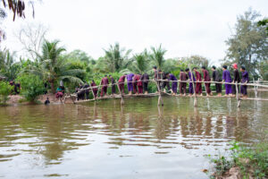 du lịch Sân chim Vàm Hồ