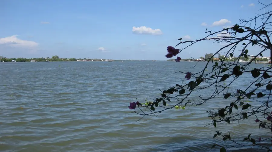 du lịch Sông Cổ Chiên - Hình 4